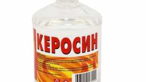 Керосин срещу бельо: действие, ефективност, безопасност, превенция